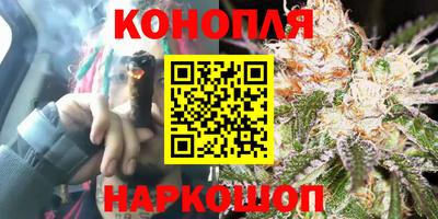 мет Новозыбков