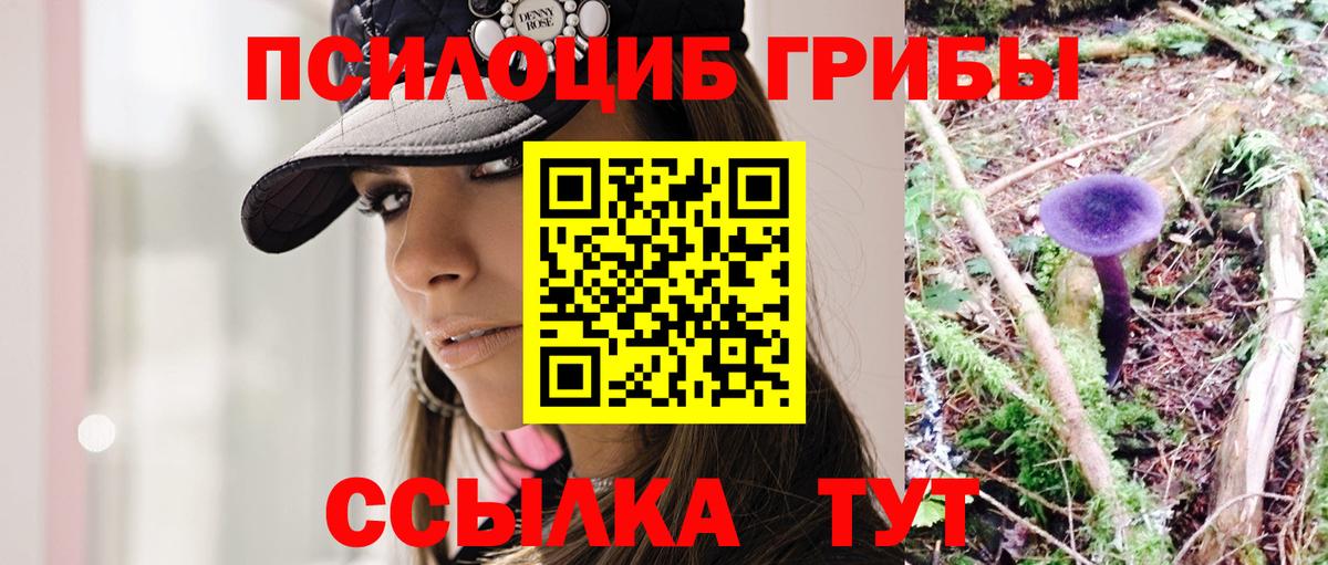 Галлюциногенные грибы Psilocybe Россошь